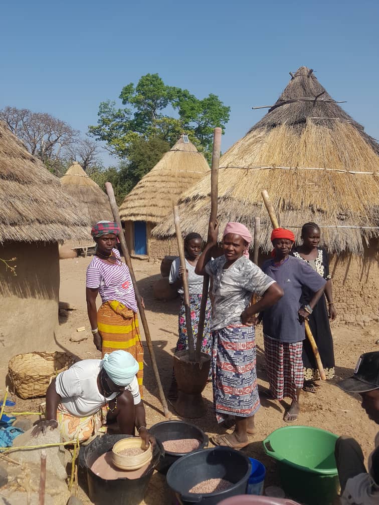 Paysage authentique du Sénégal - Baobabs et coucher de soleil